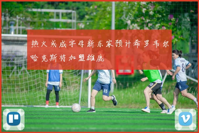 热火或成字母新东家预计希罗韦尔哈克斯将加盟雄鹿